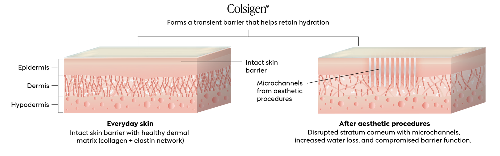 Where Science Meets Skin Recovery